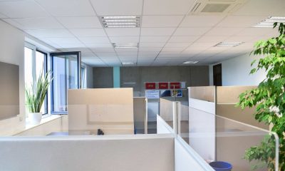 Akustikmaterial PreDinkel im Einsatz